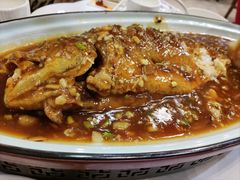 干烧南麂岛大黄鱼-东兴楼饭庄(六里桥店)