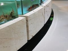 -旺顺阁海鲜广场(亚运村店)