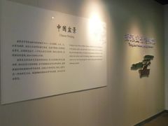 -盆景园(扬州大运河文化旅游度假区)