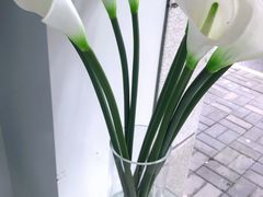 -福奈特洗衣洗鞋(宝华广场店)