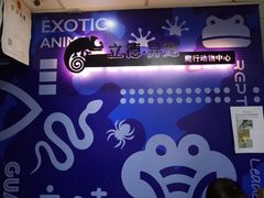 -立德动物医院·异宠·CT·鹦鹉(天河店)