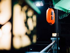 -老幺泉水鸡