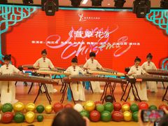 -爱乐蒙艺术·古筝 钢琴 声乐(科华校区)