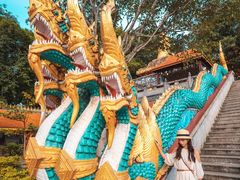 -西双版纳勐泐文化旅游区