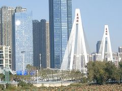 -月湖风景区