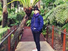 -墨尔本皇家植物园