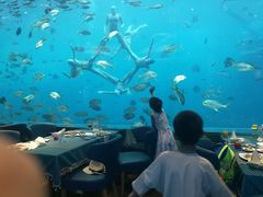 -瑞德姆美人鱼海底演艺主题餐厅(亚龙湾店)