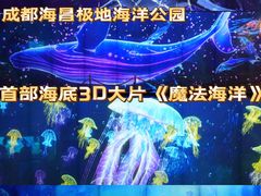 -海合安成都极地海洋公园