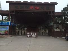 -麻涌飞鸭开心农场