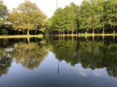 -上海共青森林公园