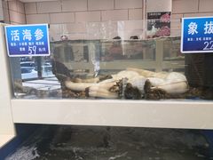 -双井轩(双井店)