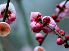 -金逸影城(影视中心IMAX店)