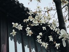 -耦园