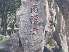 -普陀山风景名胜区-法雨禅寺