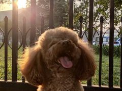 -纳吉亚猫专科动物医院博雅分院