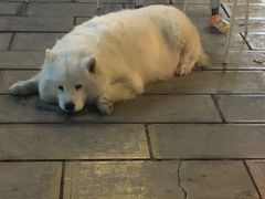 -巴人堂(女儿城店)