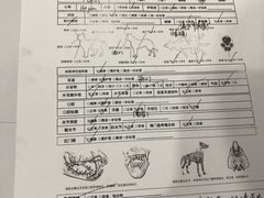 -顺强宠物诊所·狂犬免疫·夜诊·骨科(嘉定店)