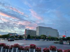 -春花秋色城市公园