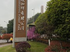 -铁山坪森林公园