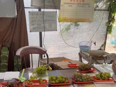 -马陆小张葡萄园农家乐