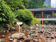 -重庆彩云湖湿地公园