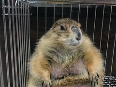 -乐宠宠物店(世纪金源店)