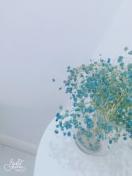-紫御国际抗衰ZOE ANTI AGING