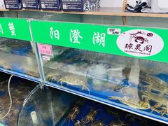 -阳澄湖大闸蟹·琼灵阁牌品牌连锁(吴中总店)