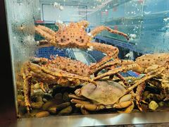 -江滨国际大酒店-珍宝轩海鲜大酒楼