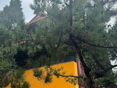 -挂甲禅寺