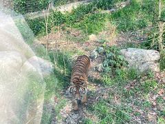 -上海动物园(地铁站)