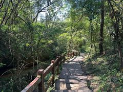 -武夷山风景名胜区-虎啸岩