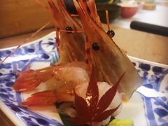 -达摩君日本料理(泰海花园小区店)