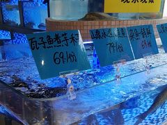 -后湖小院·乡野田园菜