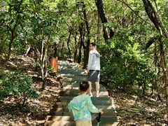 -杭州半山国家森林公园