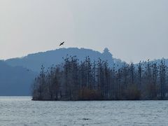 -东湖落雁景区