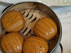 -新概念来凤鱼(璧山店)