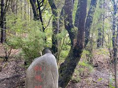 -卡定沟景区