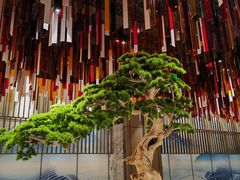 -青水瓦台汤泉(未央店)