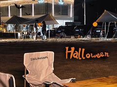 -天适樱花悠乐园