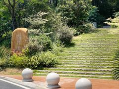 -火炉山森林公园