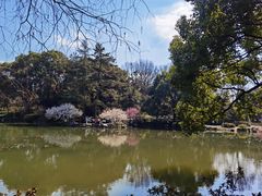 -杭州植物园