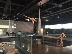 -墨尔本博物馆(Melbourne Museum)