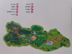 -西双版纳原始森林公园