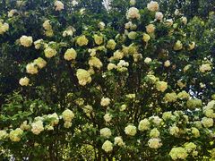 -杭州城北体育公园