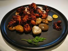 铁板八爪鱼-百富源·海鲜辽菜(浑河堡店)