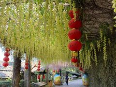 -观澜山水田园