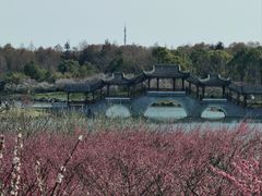 -上海海湾国家森林公园