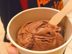 黑巧克力冰淇淋-LUNEURS月乐诗 冰淇淋咖啡(环贸店)