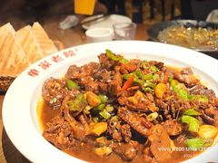 -单家老院·院子里的青岛菜(沙子口店)